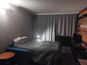 Appartements studio centre station : Appartement 1 Chambre