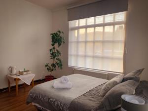 Patagonia Heritage Home