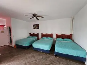 Casablanca Bonfil #3 - Copala