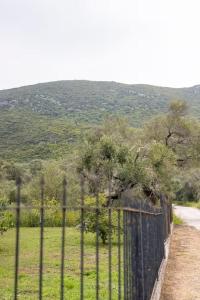 Private holiday house with garden next to the beach