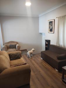 Bonito Departamento en centro histórico cuenca