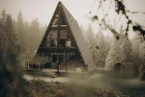 Black Chalet - Nucet