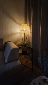 الجاكرندا الدرعيه البجيري