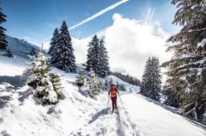 Chalet Ours Blanc ORS NATURE & QUIET 6 Pers
