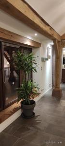 Appartements gite au jardin romantique pour 2 personnes : photos des chambres