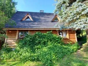 Dwerniczówka - Nasiczne