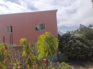 ferme jnane erroumane-settat