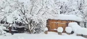 Cabana Zimbru mica - Bobeica