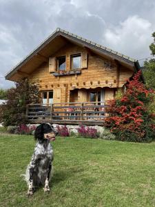 Chalets La Marmotte : photos des chambres