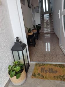 Dalmati house 