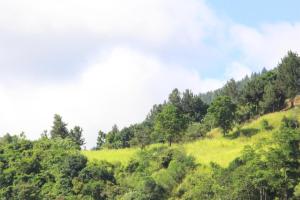 Self Cate Luxury Apartments