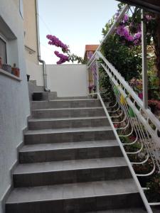 Dalmati house 