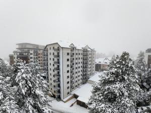 Golden Pine Lux Wellness and Spa