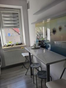 Apartament u Eli