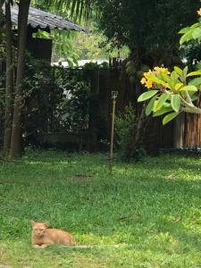 เอิน อพาร์ตเมนต์ Earn Apartment