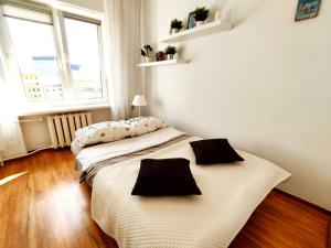 Cozy Studio at Plac Konstytucji