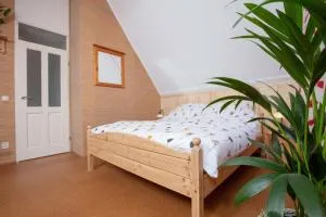 Vegan B&B De Groene Mus - Hauwert