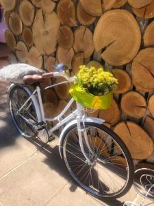 Retiro dos Cedros - Quarto Vinhas