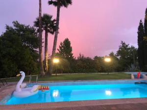 Retiro dos Cedros - Quarto Vinhas