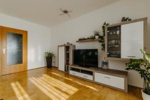 Große Ferienwohnung Burgenland