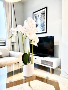 Beautiful 2 bedroom familiar luxury apartment