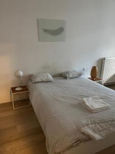 Brussels center flat