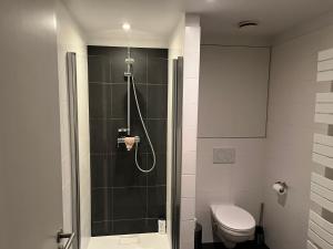 Brussels center flat