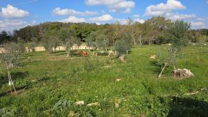 Agricampeggio Tenuta Ferrario