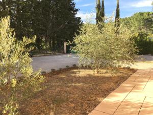 Maisons de vacances Villa Serenitude : photos des chambres