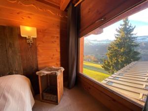 Chalet chaleureux pour 12 personnes avec WIFI et cheminée - FR-1-733-76