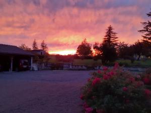 Maisons de vacances Gite de la roseraie : photos des chambres