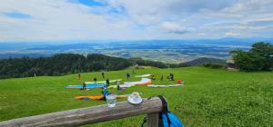 Guest house Pr Ambružarju & Apartments 