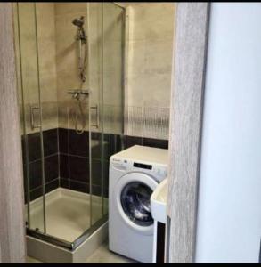 ApartmentAviatorBird