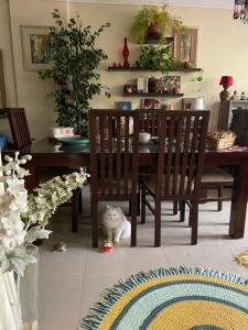 House with Garden view - Female only