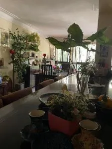 House with Garden view - Female only - El-Basâtîn