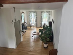 B&B / Chambres d'hotes chateau Camus : photos des chambres