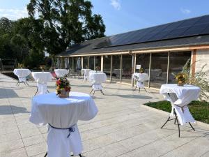 B&B / Chambres d'hotes chateau Camus : photos des chambres