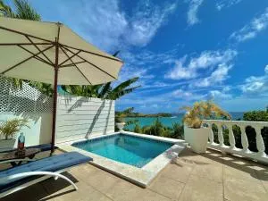 Palm house - Clifton