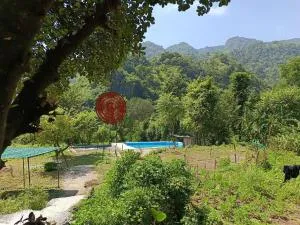Rummy Dummy homestay & farms - Jajal