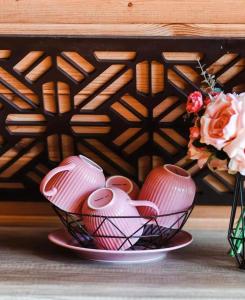 Aleksandra Viesu Namiņš