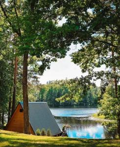 Aleksandra Viesu Namiņš