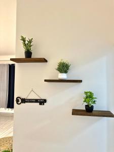 Explora Casco Antiguo Panama