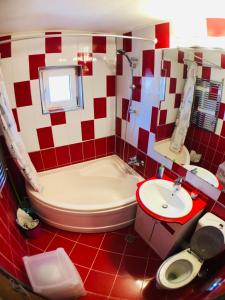 City Central Apartment - Craiova