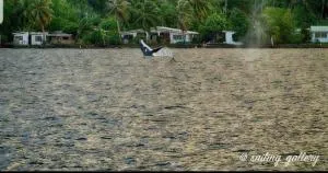 Vaiurua HappyStay - Taha’a