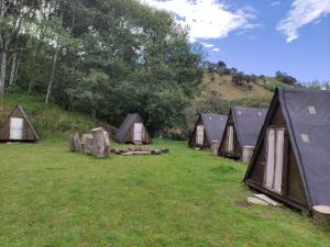 Glamping Hosteria Las Orquideas