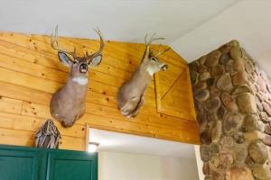 Woodland Cabin Getaway