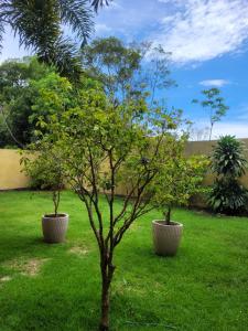 Casa 1,5Km da Praia do Campeche