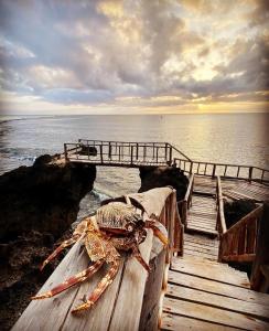 Eagle Suite 38m2 in Villa 560 m2, Indian Ocean View