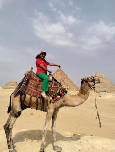 FAMILY HOUSE of ISIS