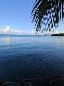 Maison au bord de mer - La Ramée